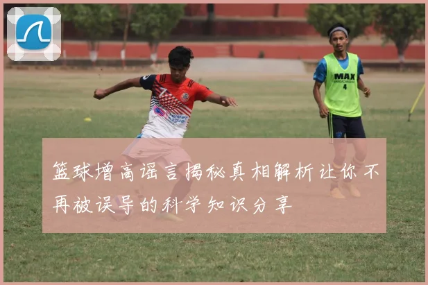 篮球增高谣言揭秘真相解析让你不再被误导的科学知识分享