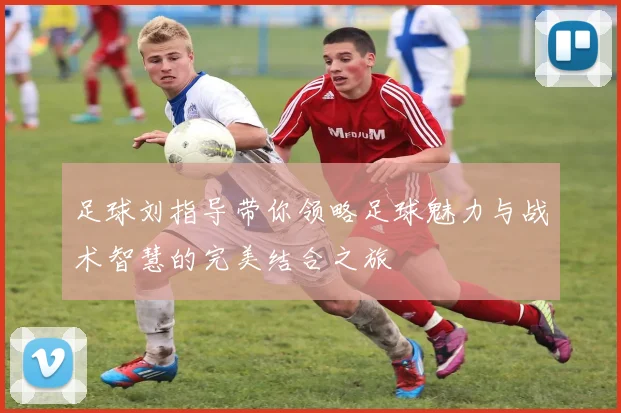 足球刘指导带你领略足球魅力与战术智慧的完美结合之旅