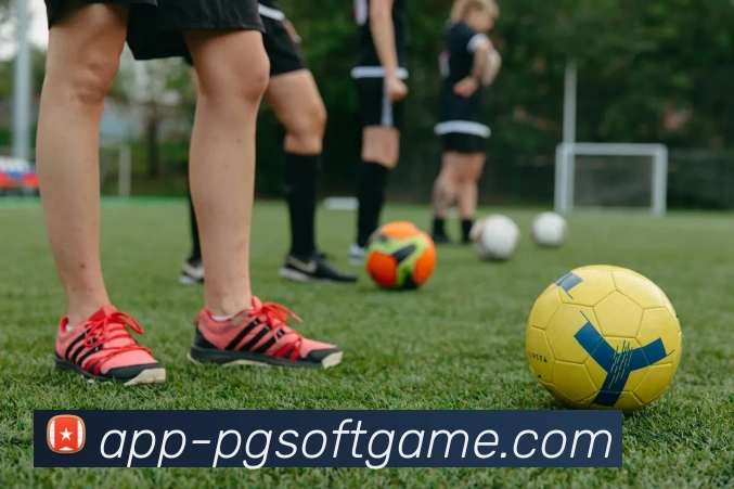 App Interface Preview